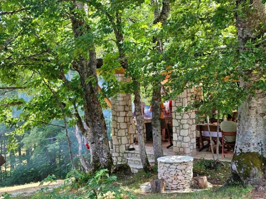 Vila Sun Forest Žabljak 外观 照片